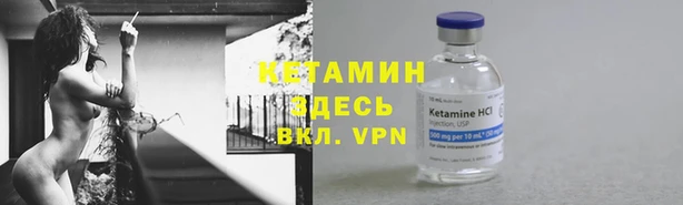 дмт Алзамай