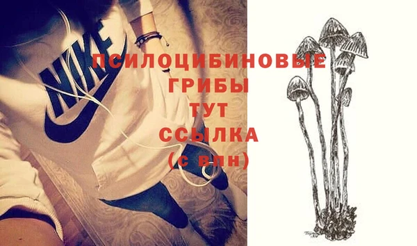 дмт Алзамай