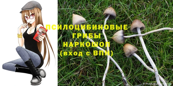 дмт Алзамай