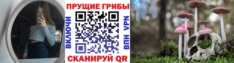 купить  сайты  Фокино  Галлюциногенные грибы мицелий 