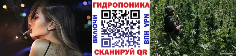 Бошки марихуана THC 21%  Фокино 